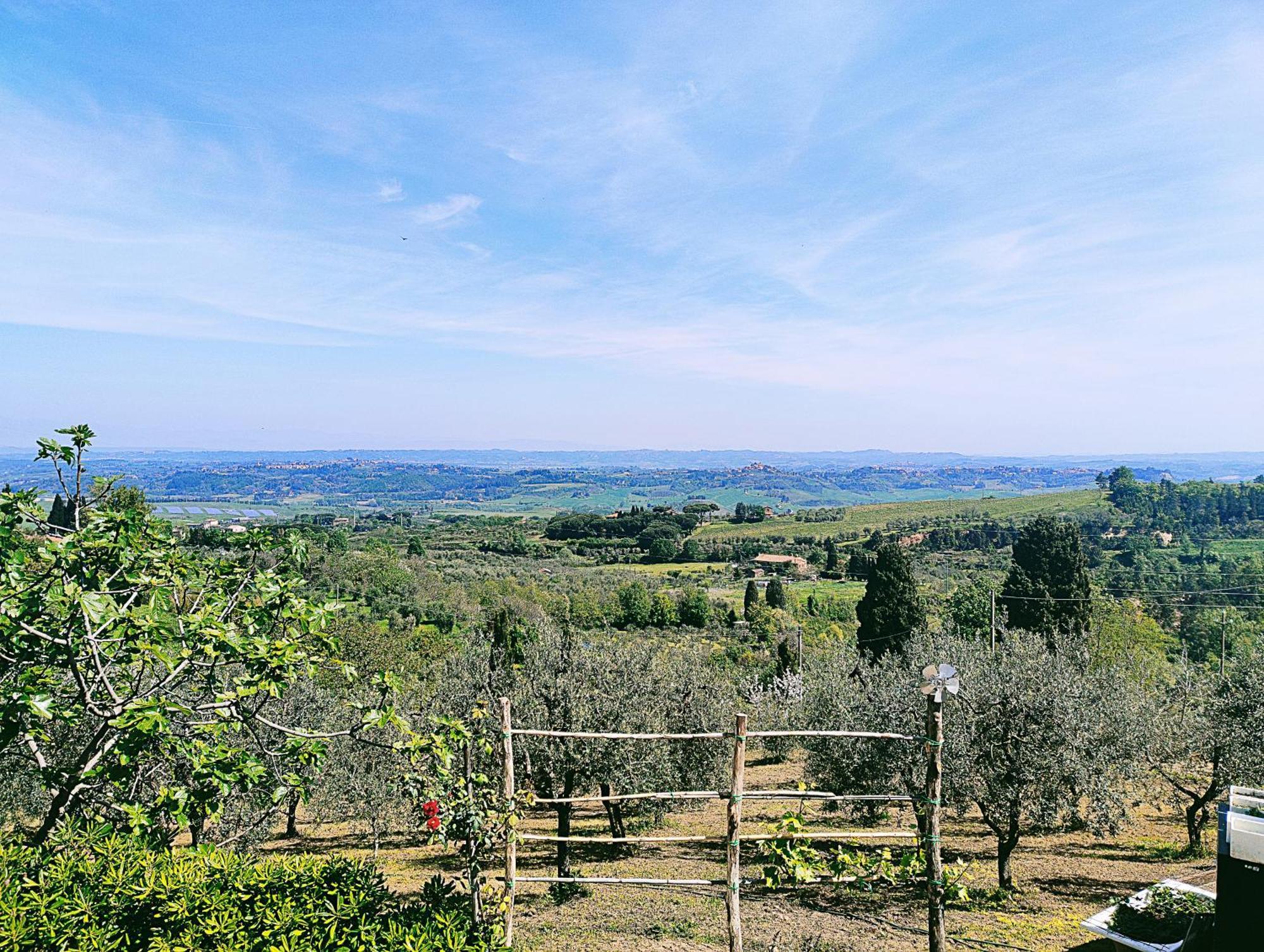 La Casina Di Colle - Appartamento Rustico Sulle Colline Di Pisa Кашіана-Терме Екстер'єр фото